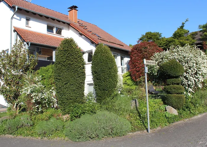 Im Odenwald * Rimbach (Hessen)